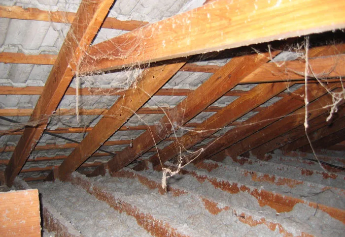 Loose-fill material in a roof cavity